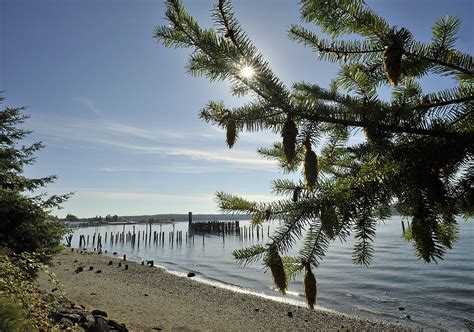 metro parks tacoma